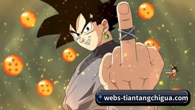 🌟 持续发现精彩